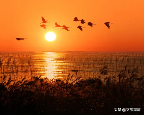 闖入霞浦油畫世界，看落日灘塗