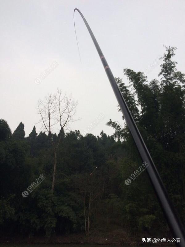 冬天釣鯽魚的技巧分享