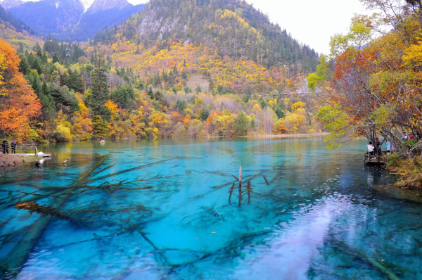 國內最佳賞秋色的地點