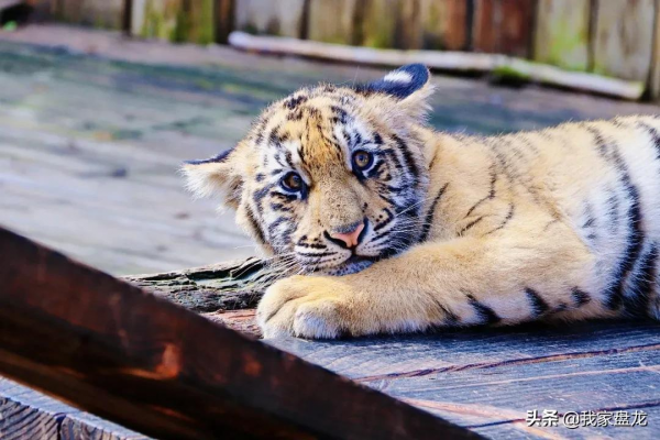 這個冬天，我們一起畢業