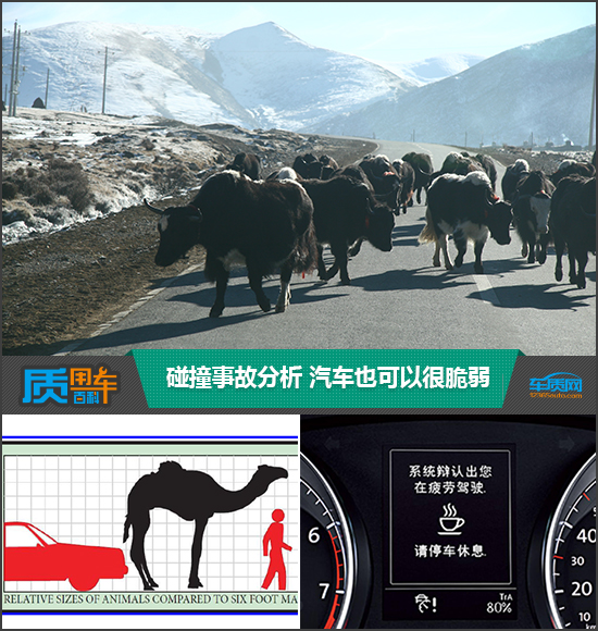 質用車：碰撞事故分析 汽車也可以很脆弱