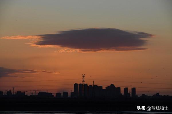 津城冬日日出與候鳥同框