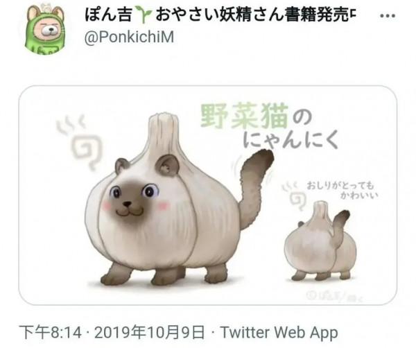 出道一年，B站眾籌近1400萬 | 這條“狗子”是如何在國內爆紅的？