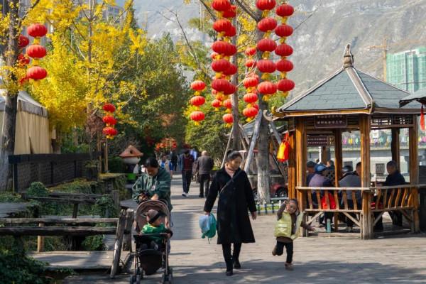 絕美！銀杏盡染無憂城，只看一眼就“淪陷”