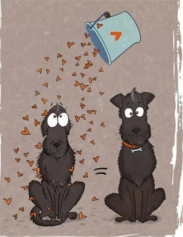 給流浪狗安家容易，改變它流浪的辛難，其實你只需要這麼做…漫畫