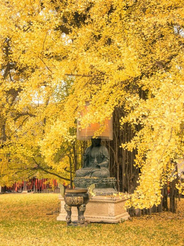 中國最美的50個地方,我竟然只去過10個,你呢? 中國最美的50個地方,我竟然只去過10個,你呢?