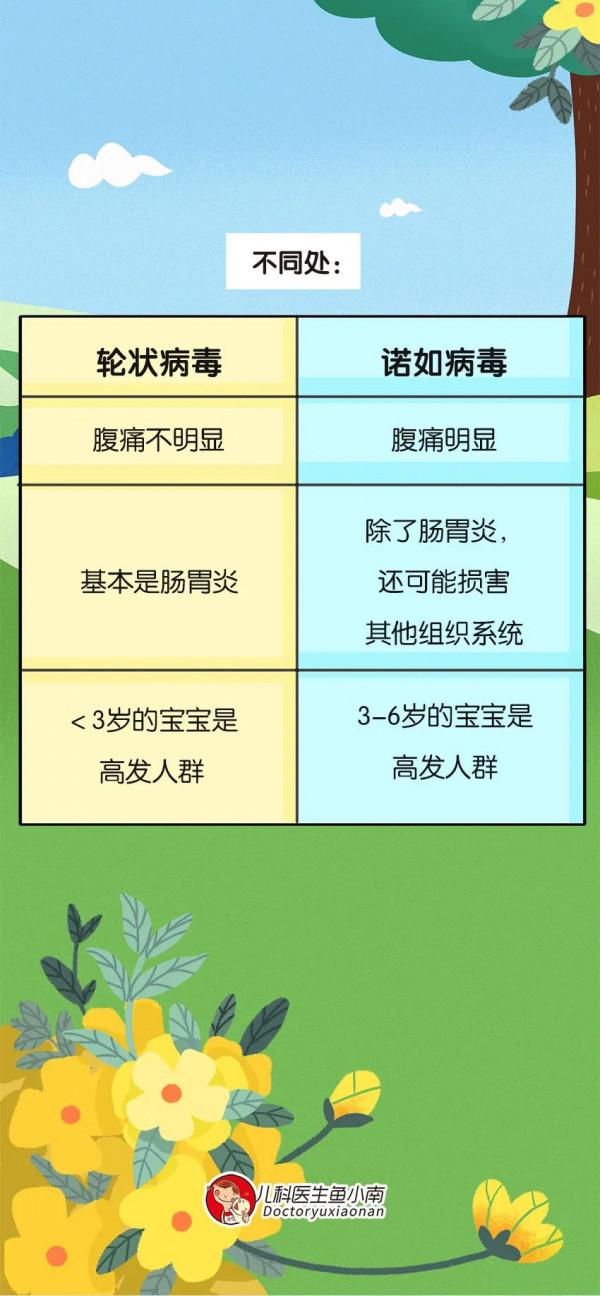 寶寶上吐下瀉，醫生說是諾如病毒感染，這是什麼？怎麼預防？