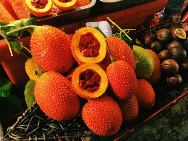 蔬菜水果等植物中，除了植物毒素，還有哪些好的營養素