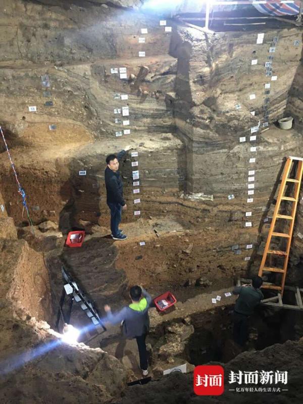 考古新青年丨植物考古人：在炭化種子的世界裡探尋古代文明