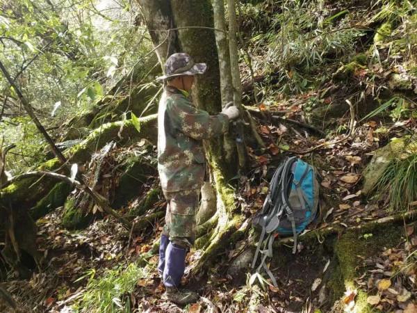 四川“最美巡護員”黃豪:參與9只大熊貓放歸監測 為“滾滾”守護家園 四川“最美巡護員”黃豪:參與9只大熊貓放歸監測 為“滾滾”守護家園