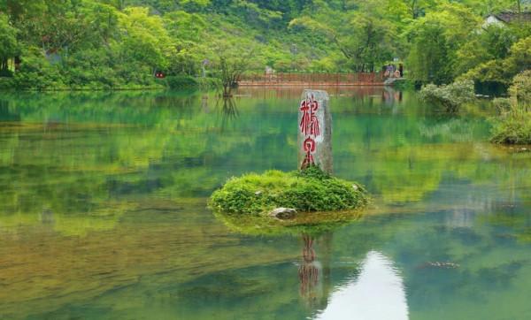 「廣西旅遊」廣西不僅有桂林山水甲天下，還有絕美的海岸線瀑布