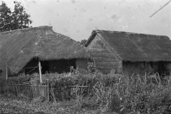 鄧小平與繼母夏伯根：相差僅5歲，相守半世紀，母子情深感動世人