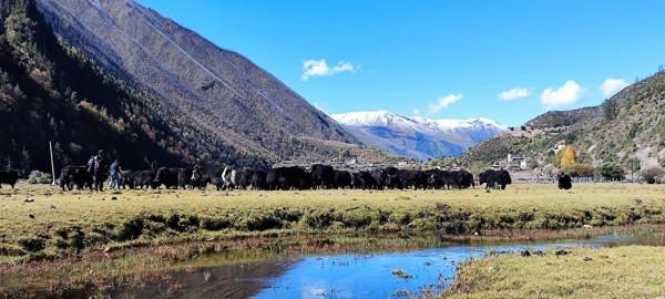 川西～一個來了就不想走的地方