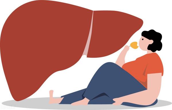 一張治脂肪肝的方子！健脾疏肝、祛溼降濁，化解肚子大、總犯困