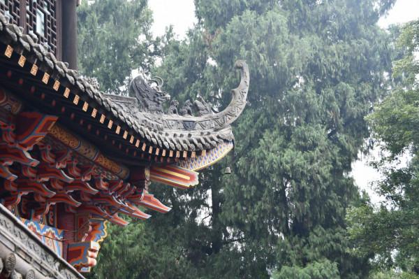 石經寺的“慢步調” 石經寺的“慢步調”