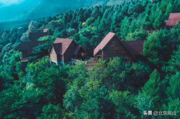 國慶遊房山（六）：香草花田，“天然氧吧”盡在於此！