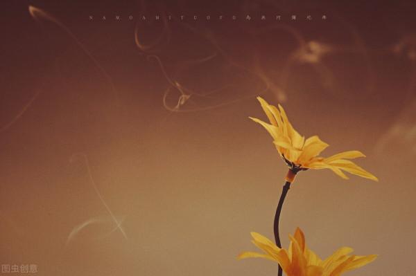 《道德經》：真正厲害的人，都具備很強的執行力