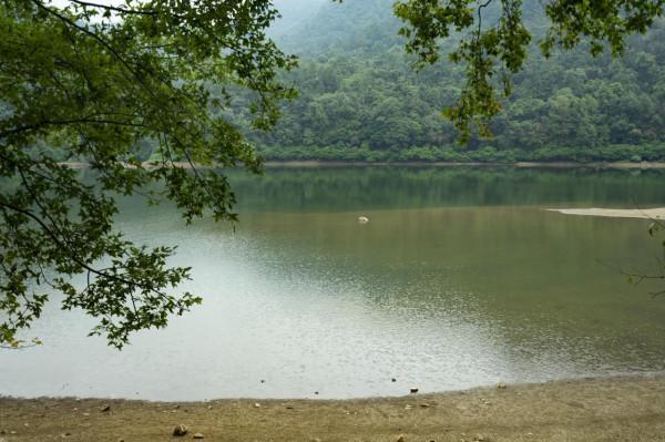 陰天過路石門森林公園