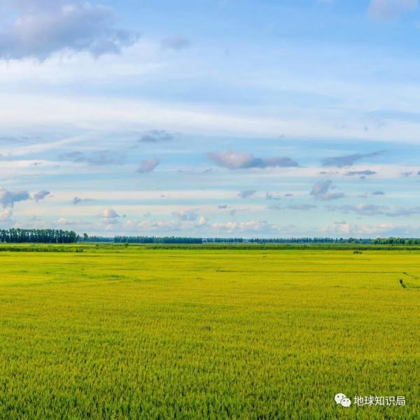 東北鹽鹼化，令人非常擔憂