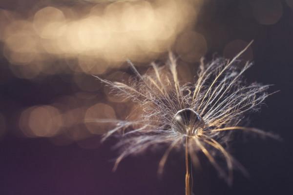 老俞閒話丨精神的力量——與劉大銘對談(下) 老俞閒話丨精神的力量——與劉大銘對談(下)