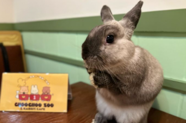 傳聞?網評?很糟糕?小編親探仁恆伊勢丹系列第一彈重磅來襲 傳聞?網評?很糟糕?小編親探仁恆伊勢丹系列第一彈重磅來襲