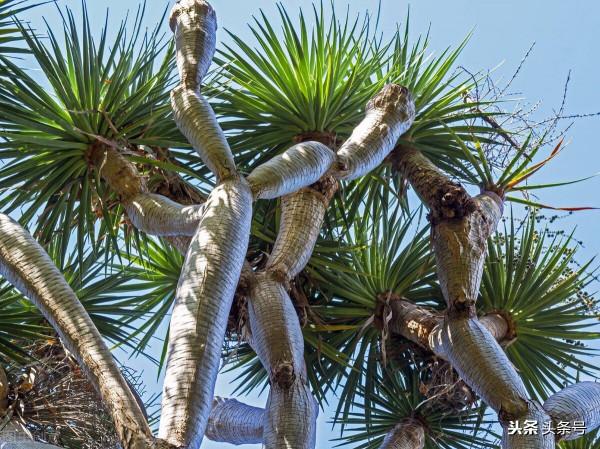 生老病死，自然規律，誰都逃不掉