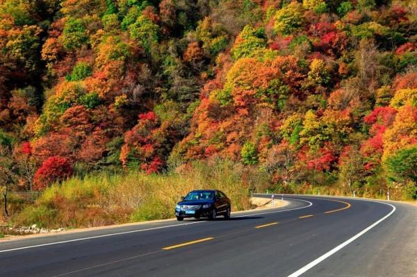 開往“中國最美秋天”6條自駕路線,條條都是NO.1,沿途美成天堂 開往“中國最美秋天”6條自駕路線,條條都是NO.1,沿途美成天堂