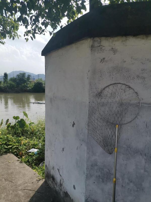 中秋節快樂 野塘釣鰱之二 中秋節快樂 野塘釣鰱之二