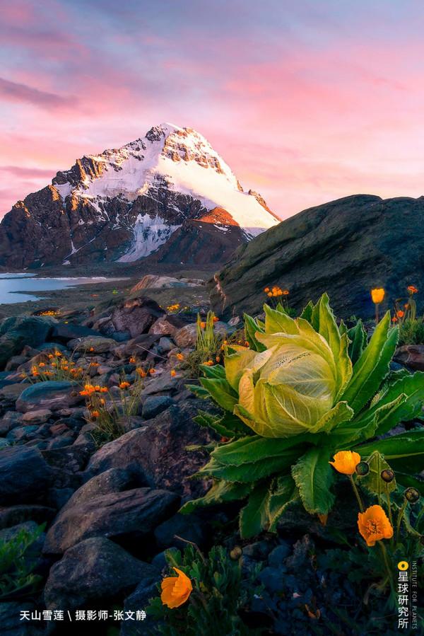 出發!穿越中國最長國道219 出發!穿越中國最長國道219