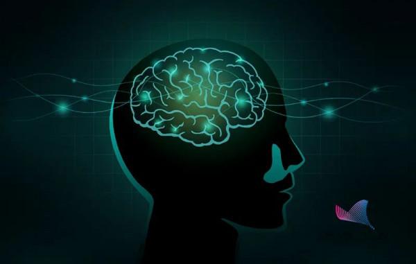 你躺平了，大腦還在20倍速學