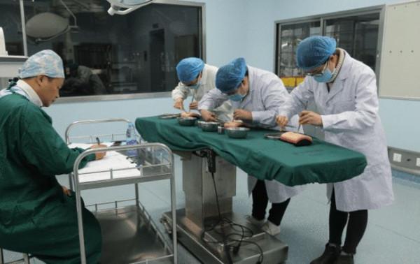 醫學生的重要選擇,讀五年制還是“八年制”?決定會影響未來發展 醫學生的重要選擇,讀五年制還是“八年制”?決定會影響未來發展