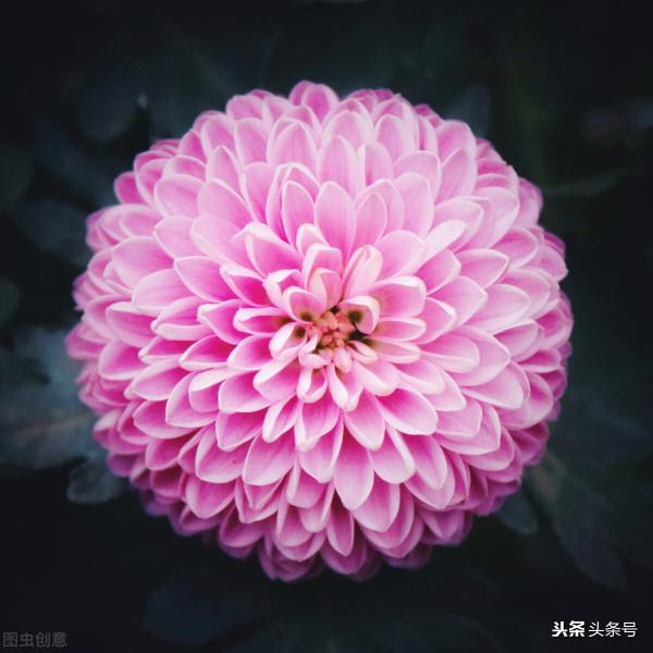 哪些是你慢慢才會想明白的道理? 哪些是你慢慢才會想明白的道理?