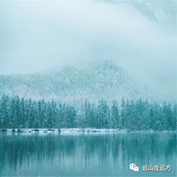 散文｜近&OpenCurlyDoubleQuote;年&rdquo;情更怯