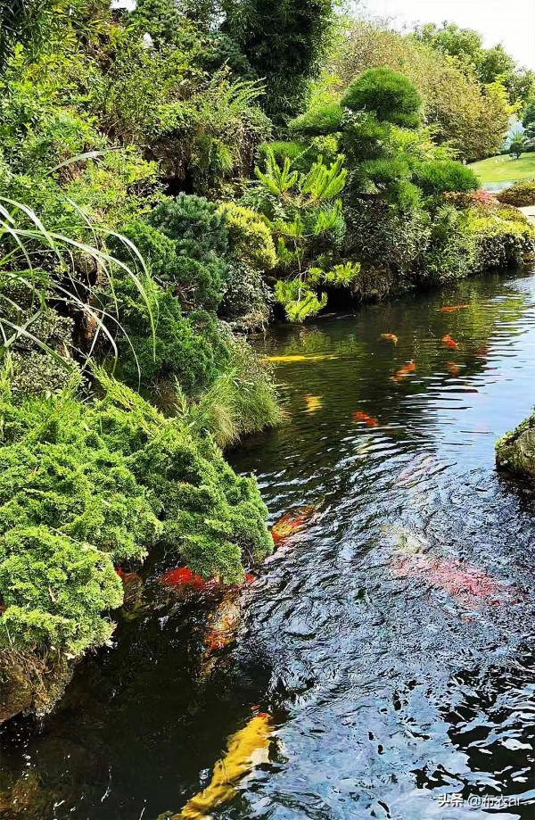 太湖邊熟人的莊園 太湖邊熟人的莊園