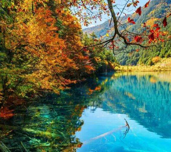 四川名景區下埋著一座千年古城，當地人不喝井水，導遊：可以祭拜