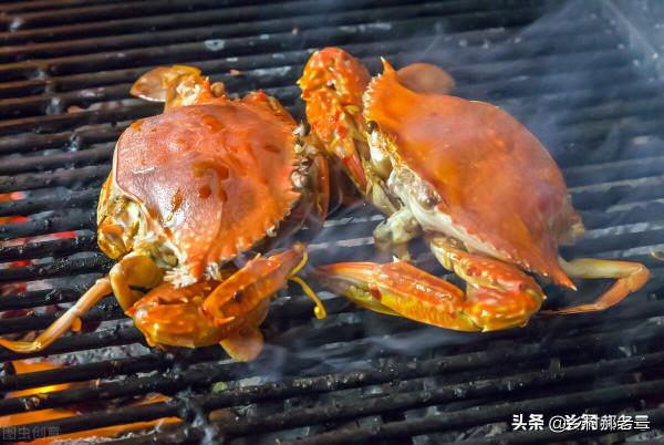 有誰能想到,野釣還能把它釣上來 有誰能想到,野釣還能把它釣上來