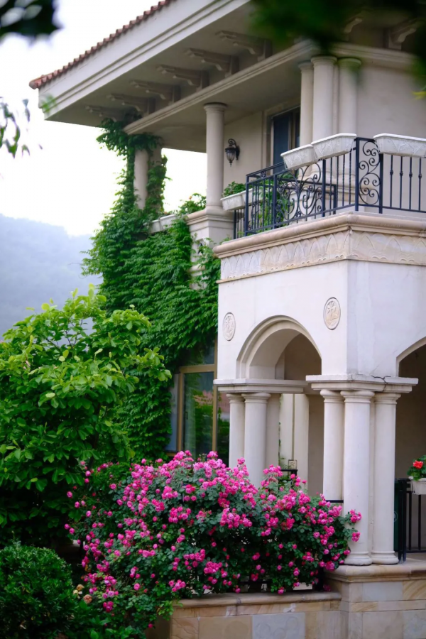 東北花友走遍歐洲著名花園,回國後建了座四季有花的北方花園 東北花友走遍歐洲著名花園,回國後建了座四季有花的北方花園