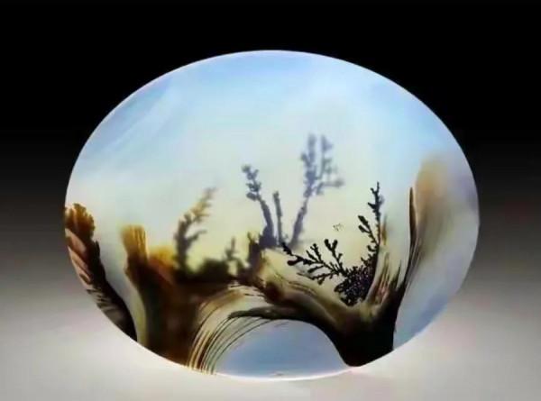 海洋精靈（下）