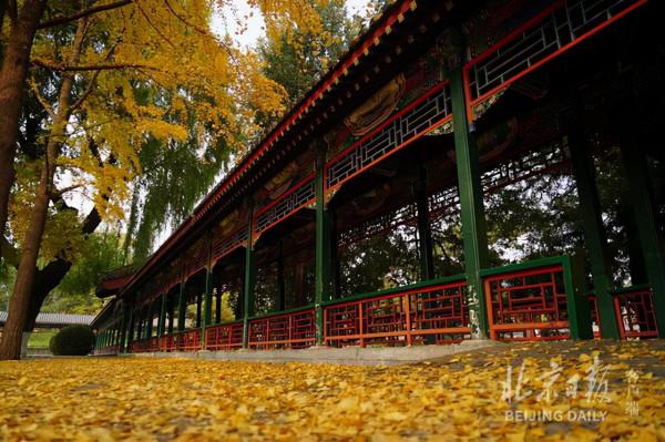 作為一個地道的北京土著,中山公園啊,都是小時候滿滿的記憶 作為一個地道的北京土著,中山公園啊,都是小時候滿滿的記憶
