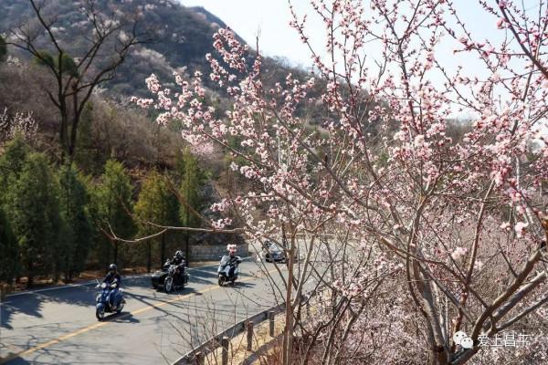 美成仙境的京郊延壽醉美公路，玩賞正當時！