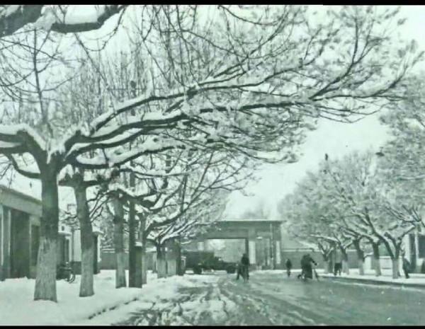 拉薩老照片，稀有