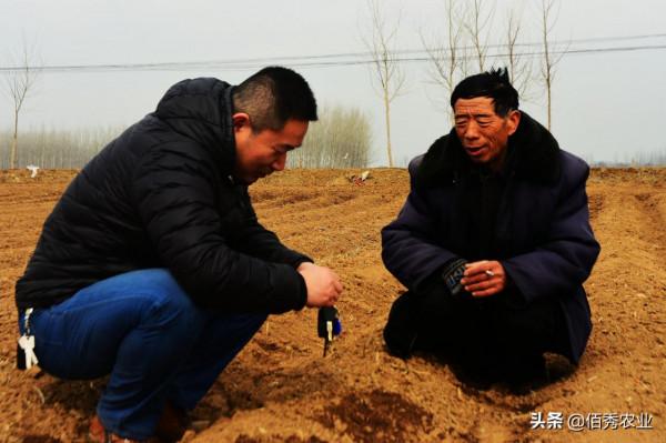 農村有6畝土地,想種植中藥材,種什麼能年收入5萬元,又不愁銷路 農村有6畝土地,想種植中藥材,種什麼能年收入5萬元,又不愁銷路