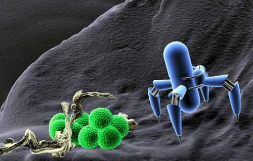 什麼是奈米發電機？奈米科技其它領域的應用有哪些？