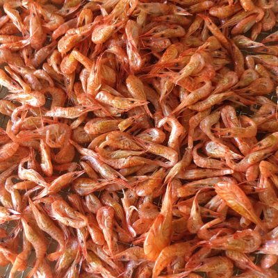 寶寶輔食—蝦皮粉 天然調味品補鈣小能手