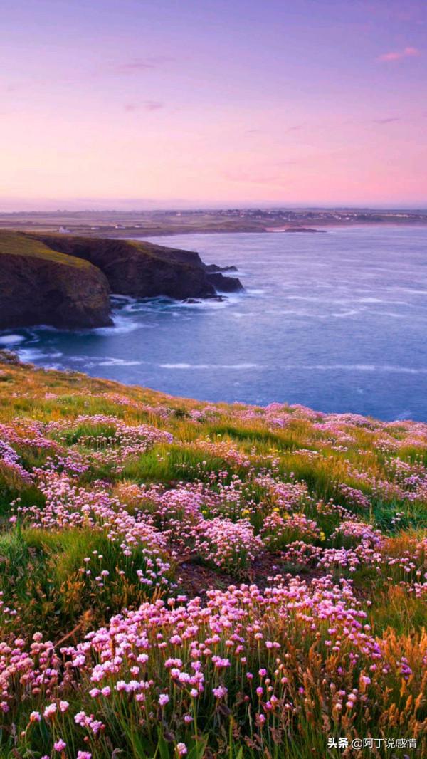 保持自我精進，才是通往成功的捷徑