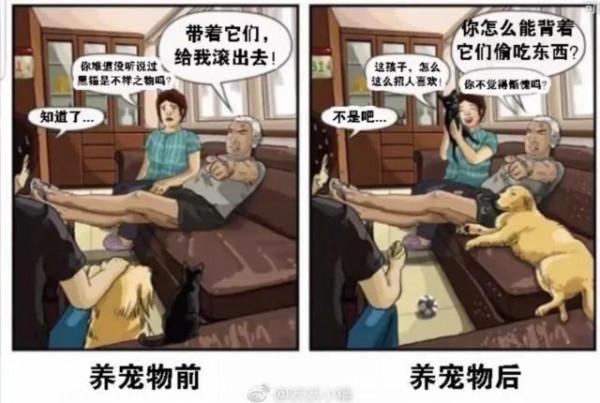 養寵物前vs養寵物後是不是你家的現狀 養寵物前vs養寵物後是不是你家的現狀