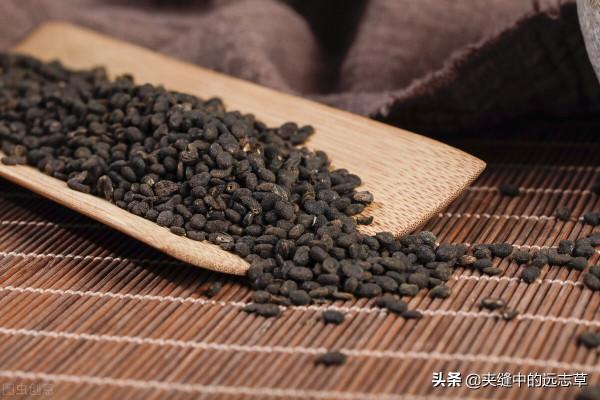 骨量丟失,骨質疏鬆?送你六味中藥,陰陽雙補,活血化瘀,強筋骨 骨量丟失,骨質疏鬆?送你六味中藥,陰陽雙補,活血化瘀,強筋骨