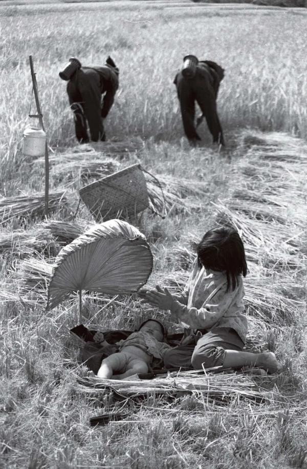 黎村裡的海南原住民 黎村裡的海南原住民