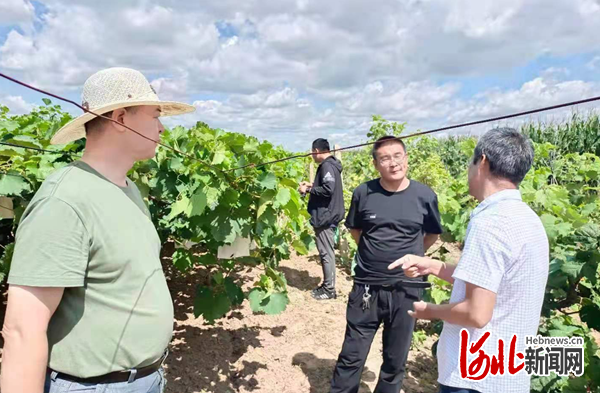 河北省農業農村廳駐村工作隊：搭建黨建“連心橋”共走鄉村“振興路”