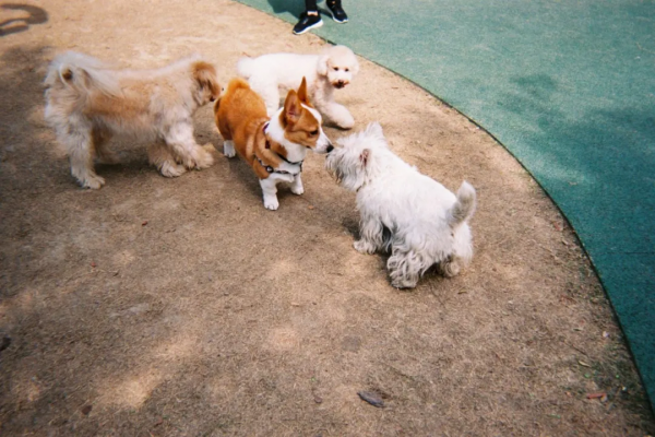 江浙滬合集｜杭州3小時高鐵圈能去哪些城市？